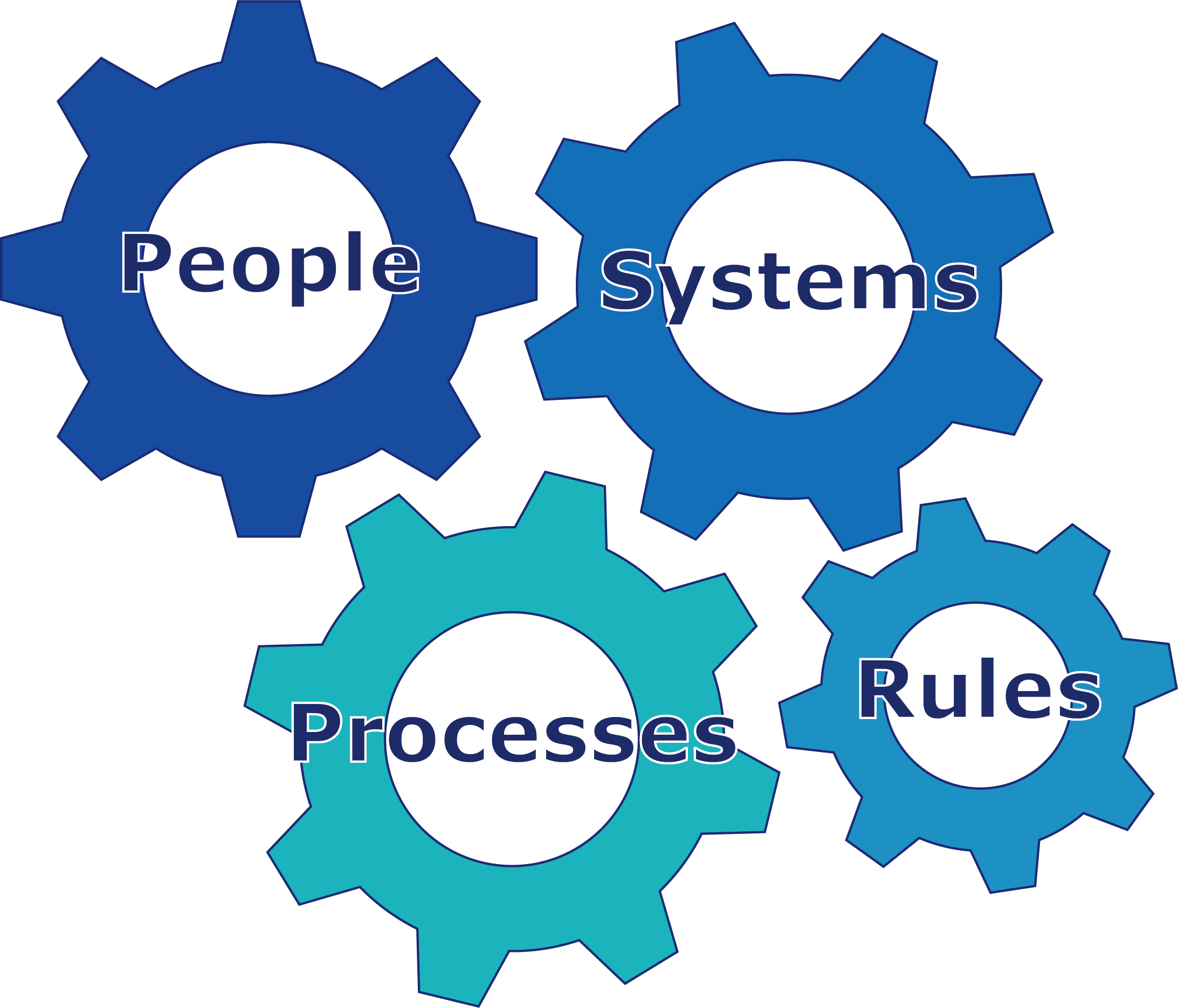 Organization Model (fixed)
