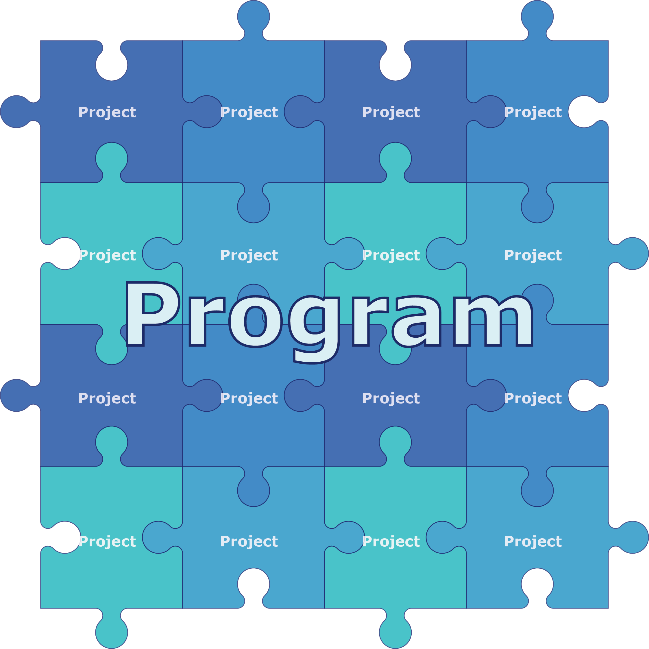 Project/Program Management